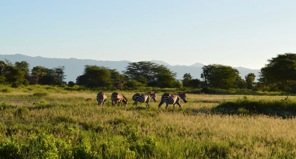 1032x554 Vzpomínka na Tanzanii dsc_0195
