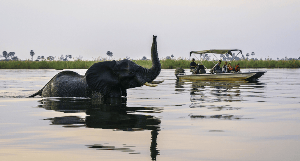 1032x554 Wilderness Savuti (1)