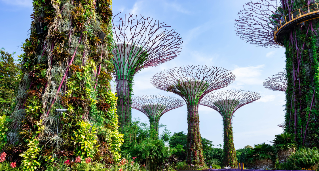 1032x554_Gardens by the Bay in Singapore