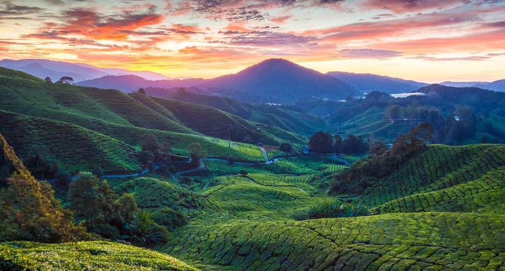 1032x554_Malajsie _shutterstock_389471242 (kopie)