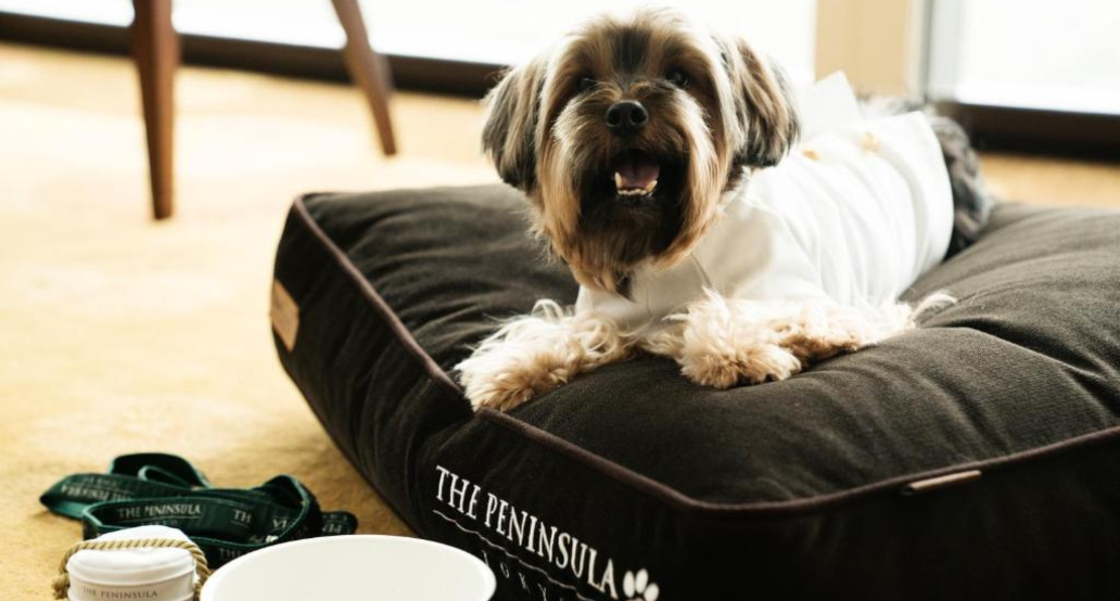 1032x554_The_Peninsula_Tokyo_Aktivity