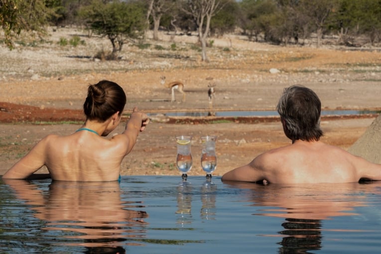 bazén, lidé, zvířata, buš