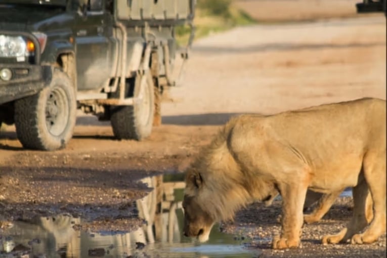 1200 x 800 Anderssons Camp Ongava, Namibie, Afrika _ Exclusive Tours_lev