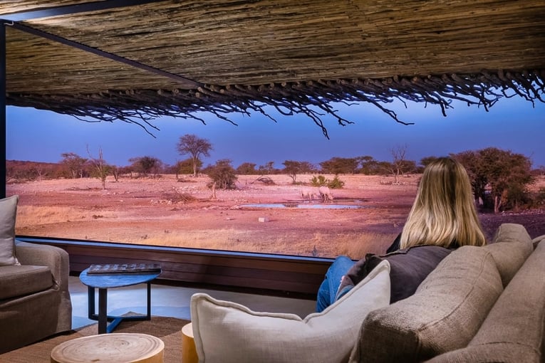 1200 x 800 Anderssons Camp Ongava, Namibie, Afrika _ Exclusive Tours_výhled do buše