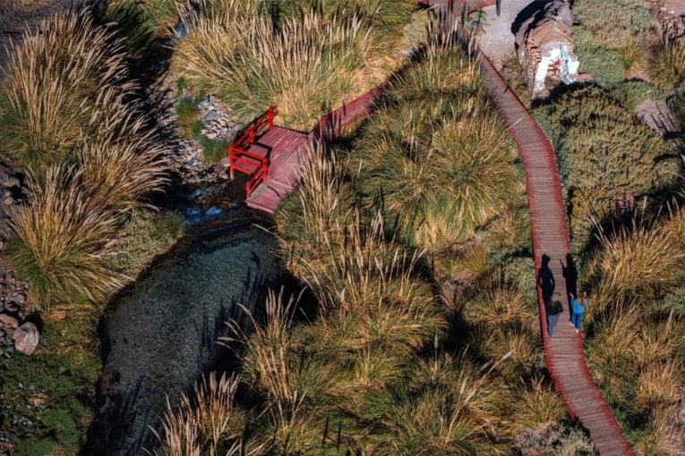 traviny, chodníčky