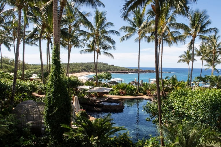 resort, palmy, moře