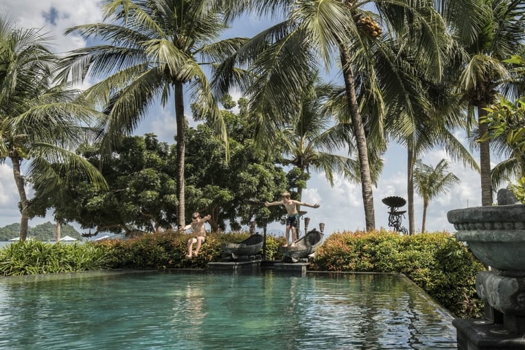 bazén, palmy, děti