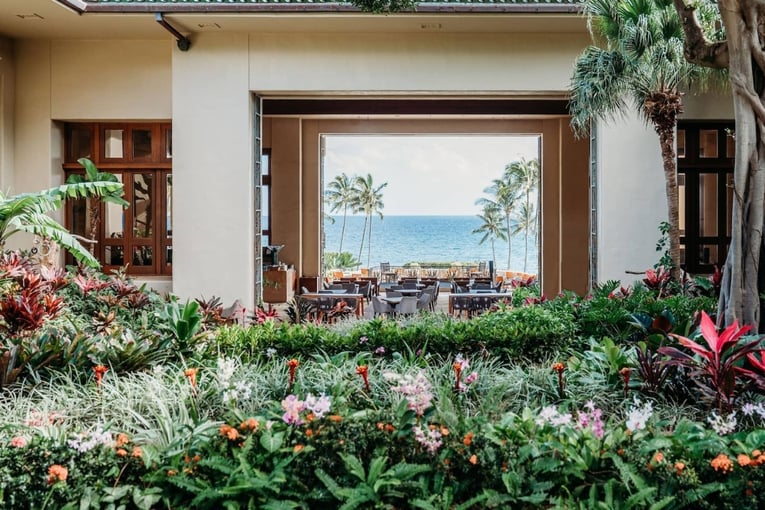 průhled na moře, kytky