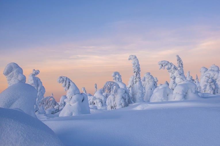 zasněžená krajina