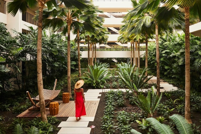 atrium, palmy, žena