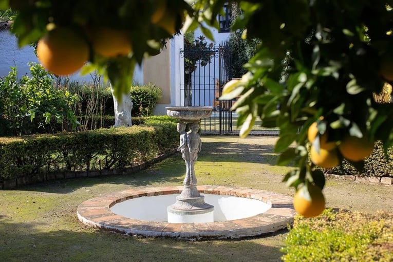zahrada, citrus
