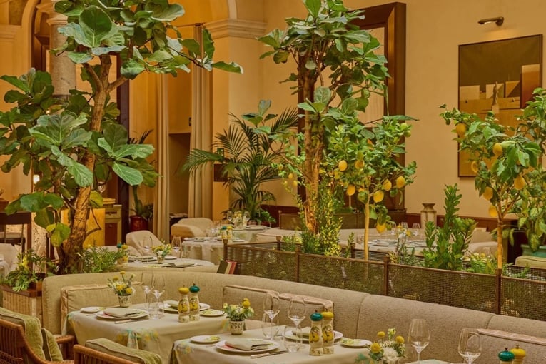 restaurace, citrony