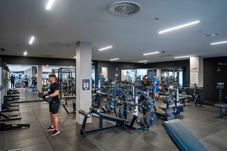 fitness