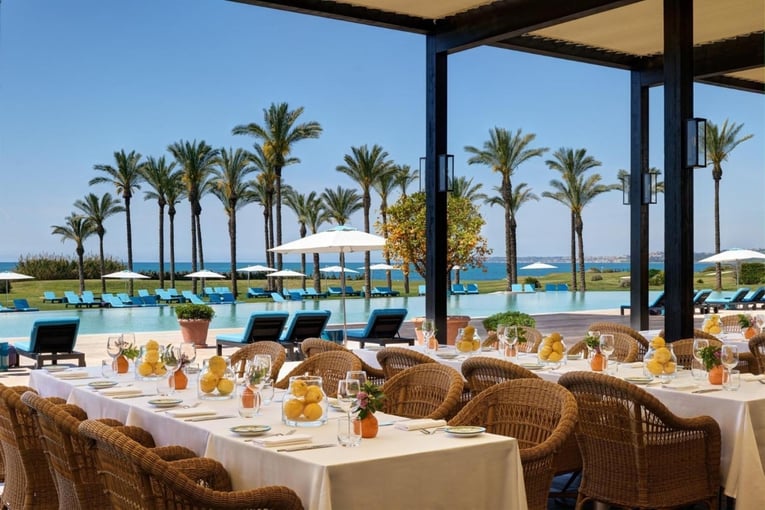 restaurace, palmy