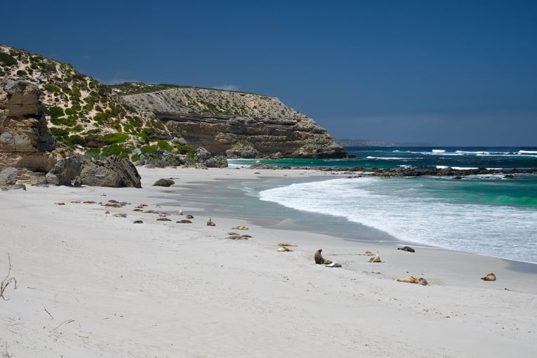 1200x800_Austrálie_shutterstock_676010167