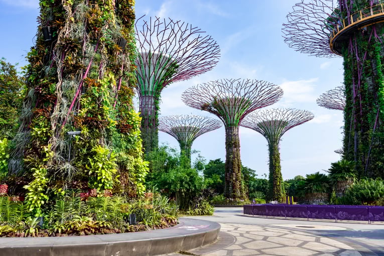 1200x800_Gardens by the Bay in Singapore