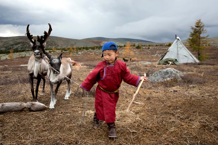 1200x800_Mongolsko_shutterstock_1063704287