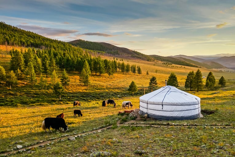 1200x800_Mongolsko_shutterstock_600892928