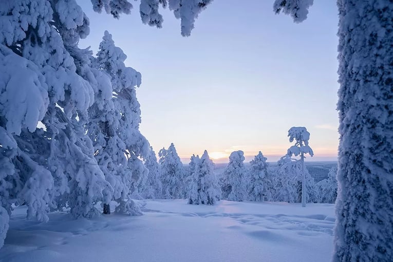 1200x800_Octola Lodge, Finsko_xOCTOLA-1.jpg.pagespeed.ic.-6AroCEy9M