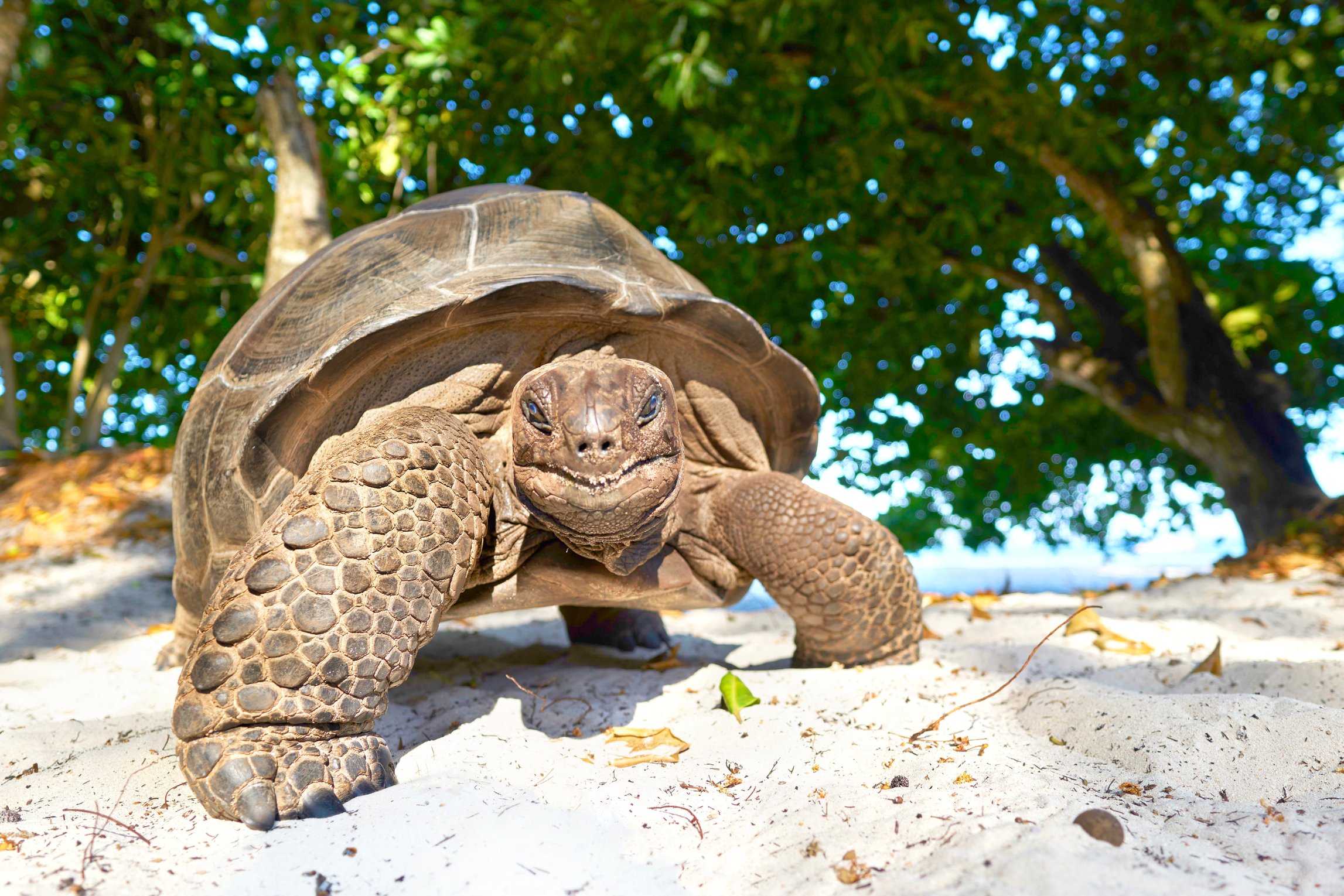 Luxusní dovolená na Seychelách | Exclusive Tours