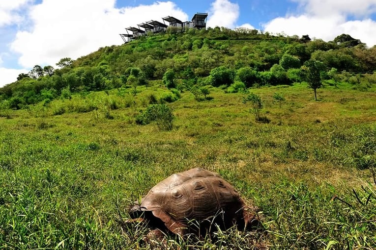 1200x800_pikaia_lodge_turtle-location