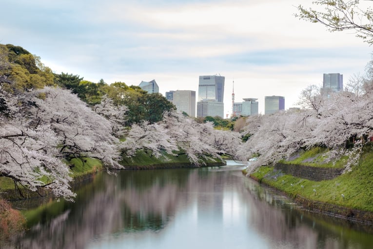 1200x900_Aman_Tokyo_sakury