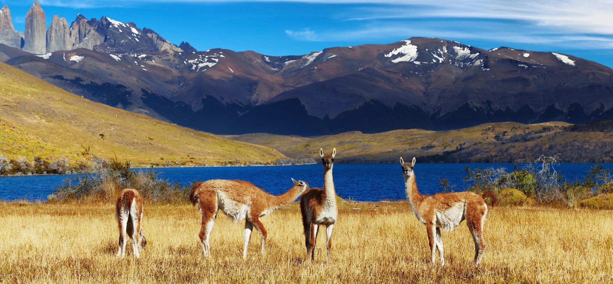 Jižní Amerika, Chile