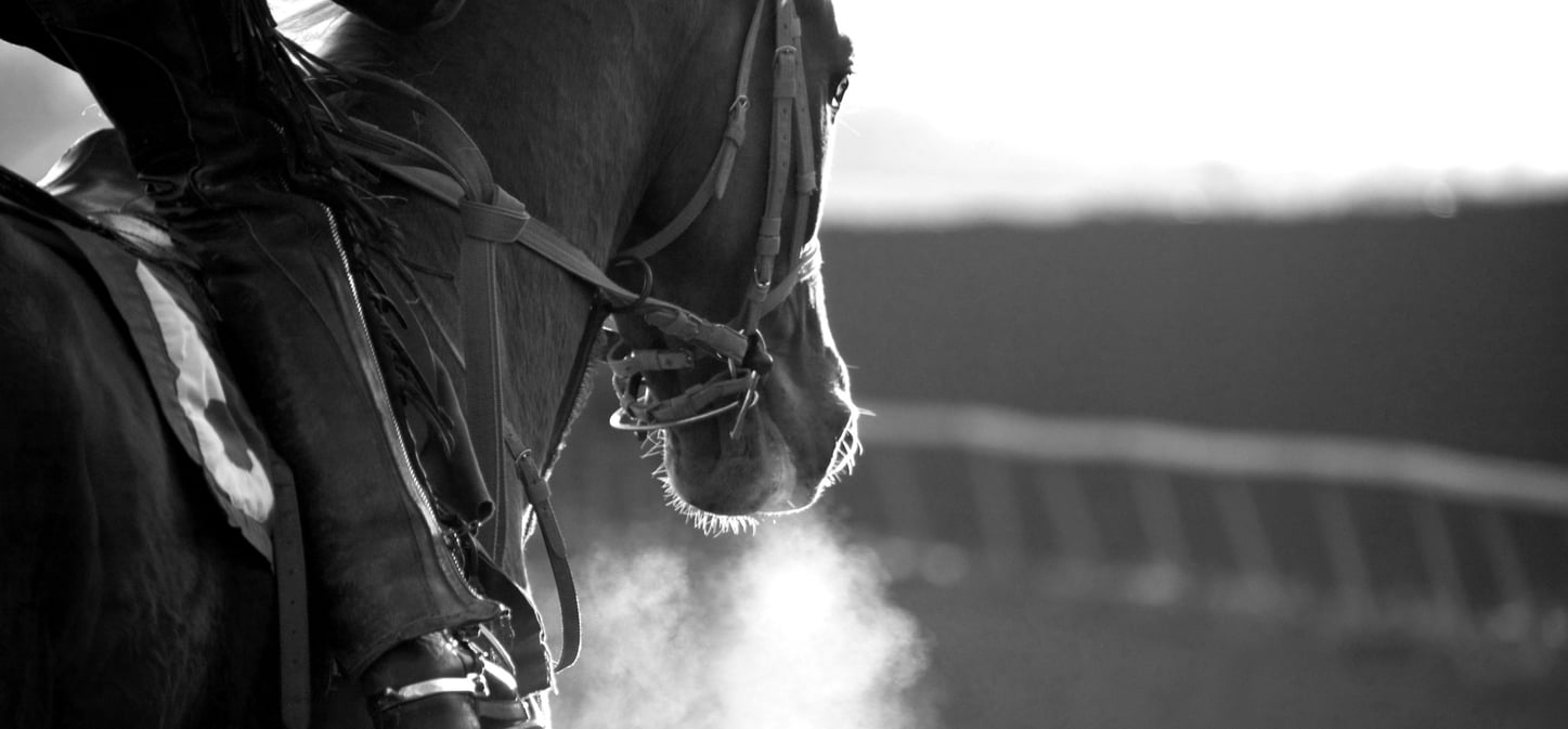 1450x674 cover Royal Ascot 2025 | Exclusive Tours