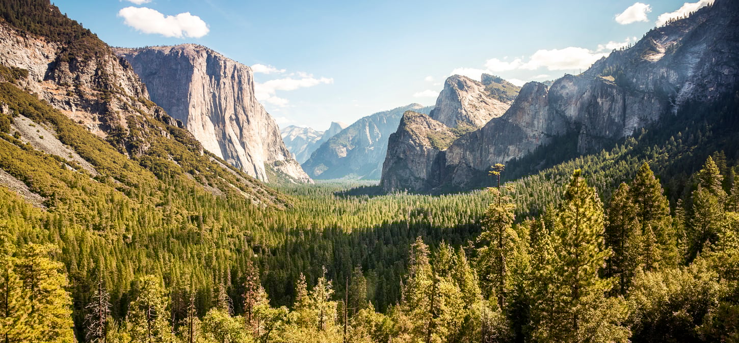 1450x674_Spojení státy americké_USA_shutterstock_758607316