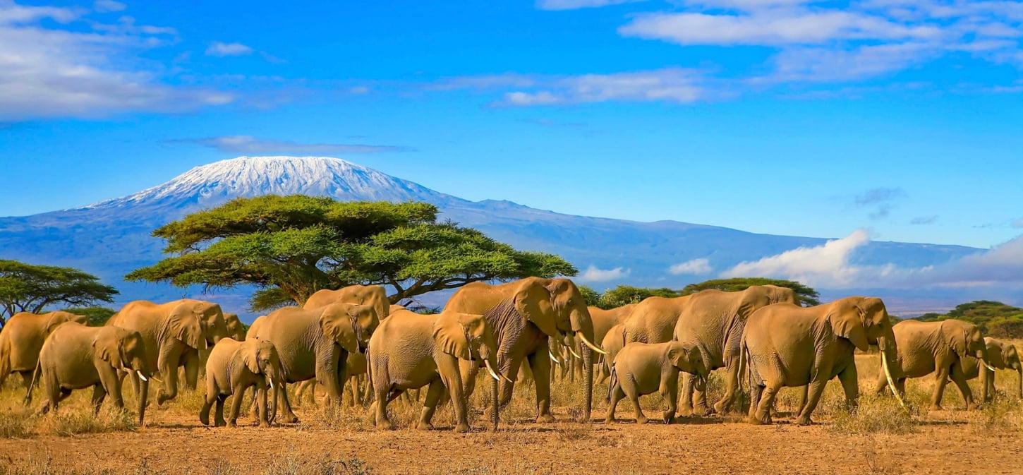 1450x675 Nejkrásnější místa Tanzanie Tanzánie cover shutterstock_678502927