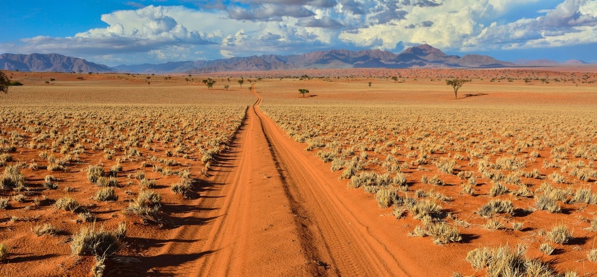 Namibie, krajina, písek, stromy, hory