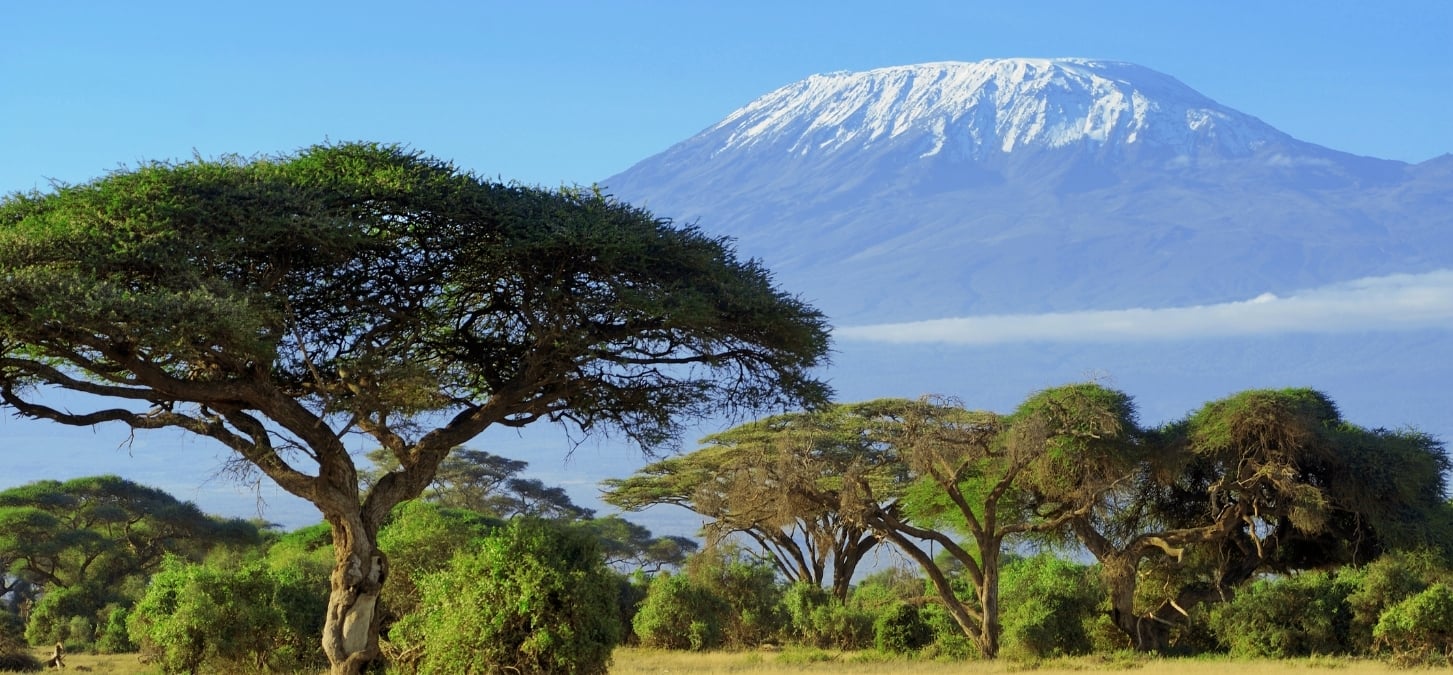 Kilimanjaro