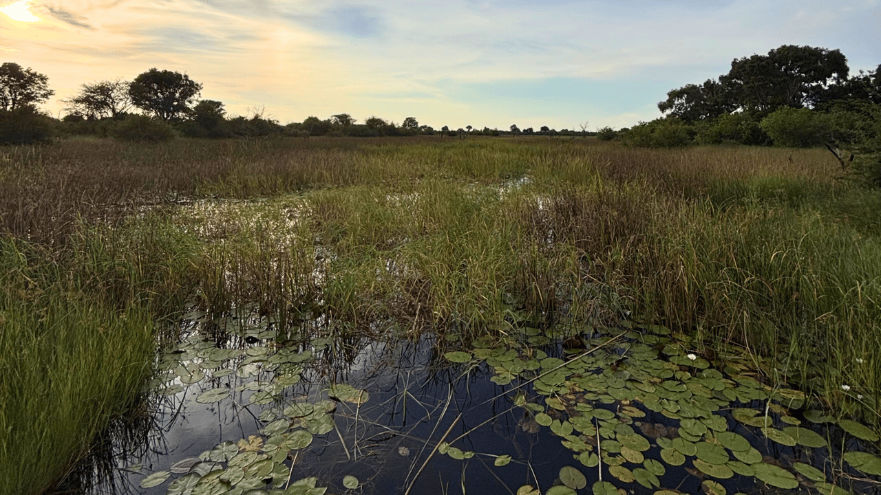 1920x1080_malá fotka na šířku blog - 8