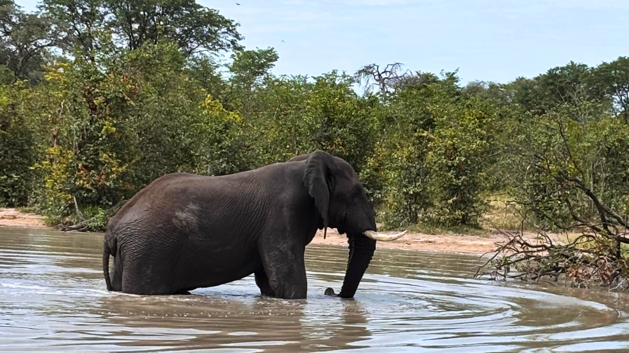 1920x1080_malá fotka na šířku blog - 9