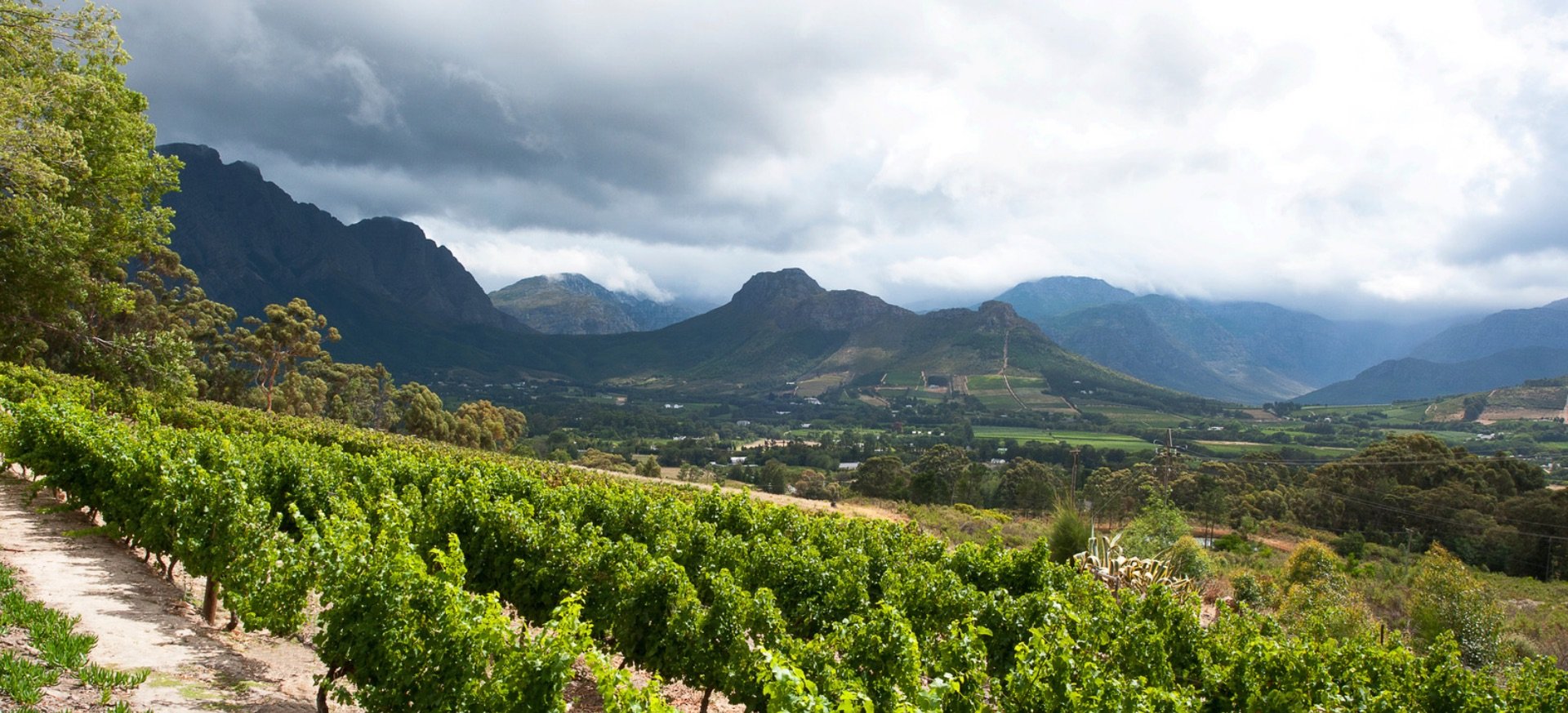 1920x873 Franchhoek | Exclusive Tours
