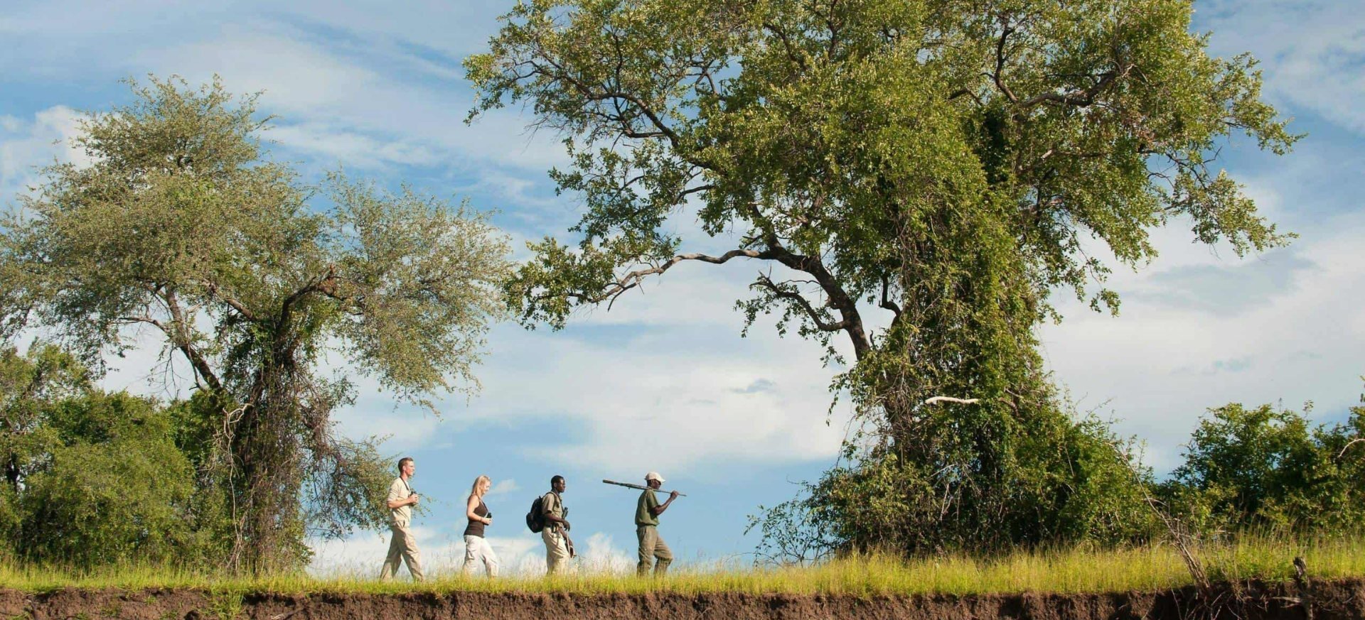 lidé v buši, stromy