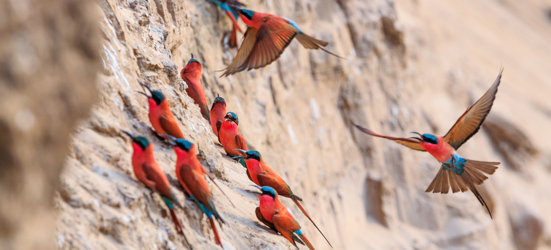 1920x873 Zambie Exclusive Tours shutterstock_625696874