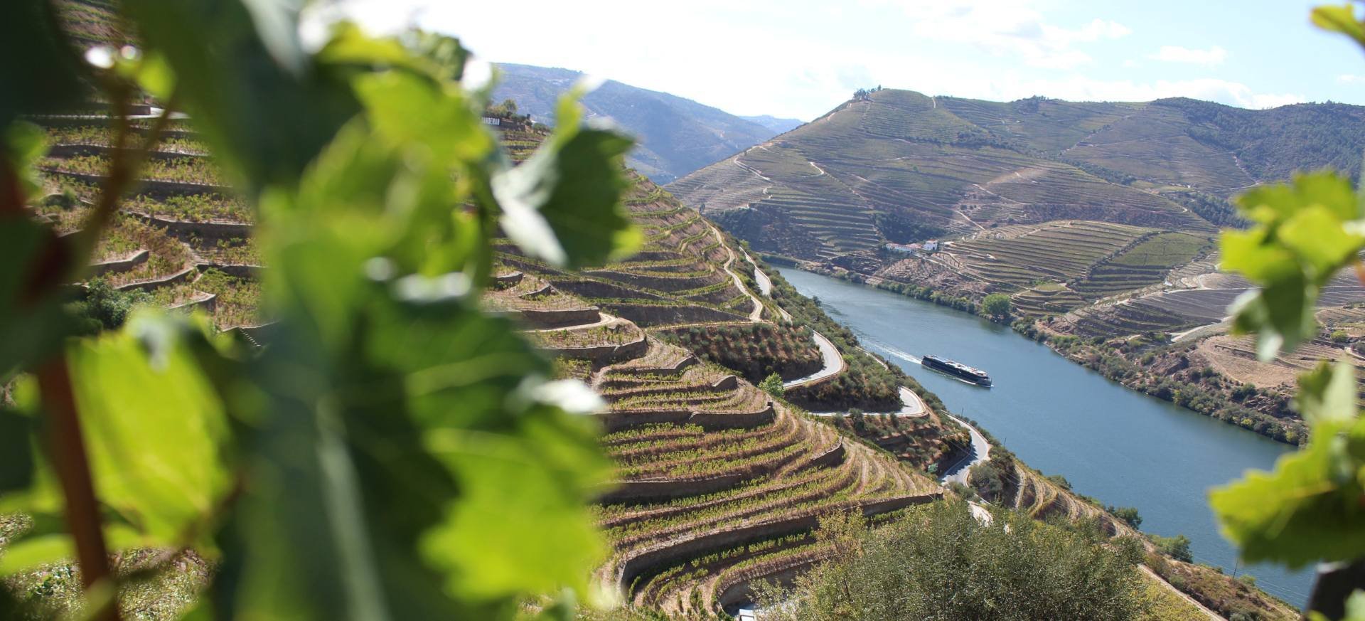 Douro Valley, vinice, řeka