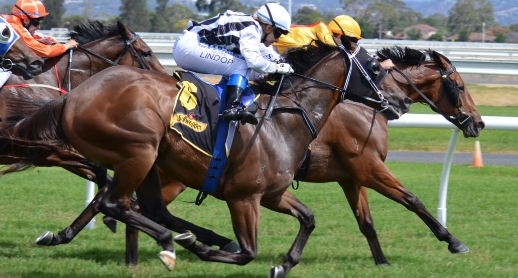 2 Royal Ascot 2025 | Exclusive Tours