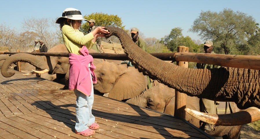 3 1032x554 Victoria Falls Hotel | Exclusive Tours WH-ELEPHANTS04__zoom