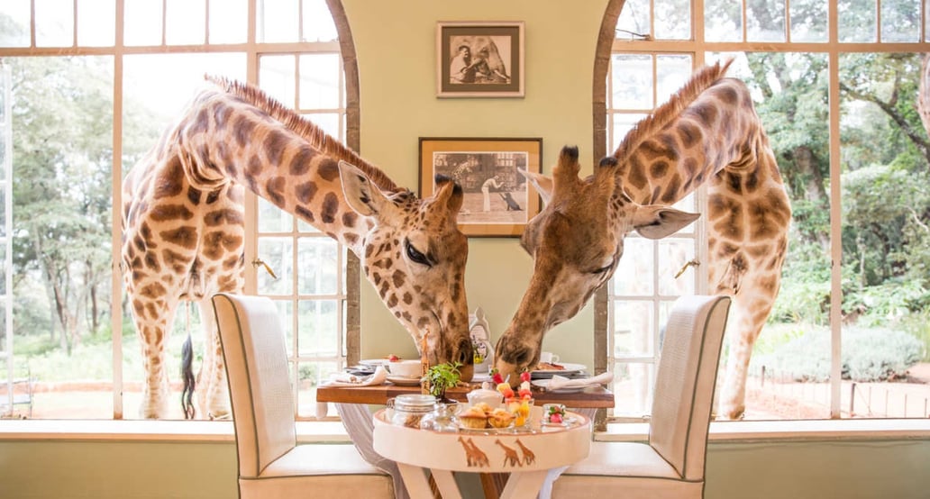 3 Giraffe Manor Hotel, Keňa – Nairobi | Exclusive Tours