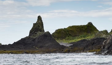 Canada unplugged | Exclusive Tours