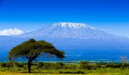 Tanzanie: Volání divočiny | Exclusive Tours