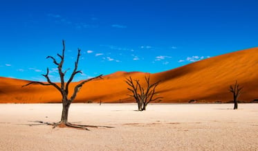 Namibie – země rudých písků | Exclusive Tours