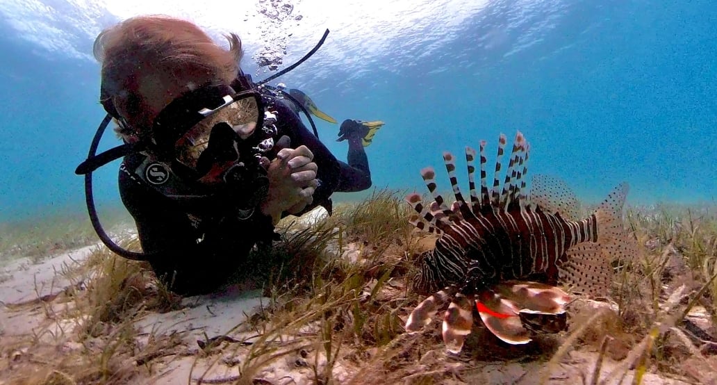 4 &Beyond Mnemba Island, Tanzanie – Zanzibar | Exclusive Tours