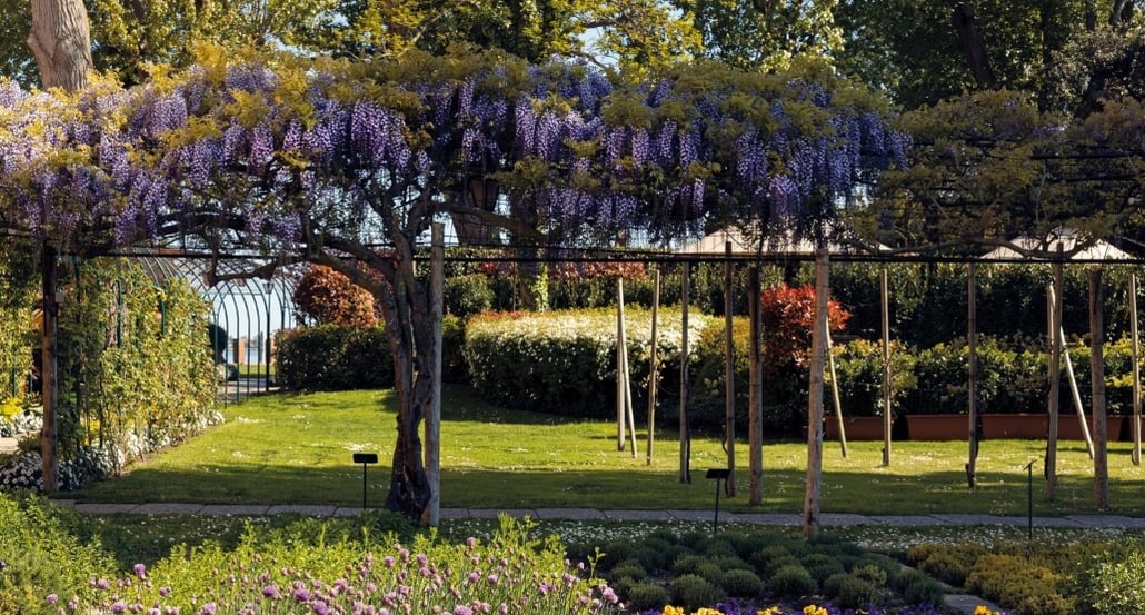 4 Cipriani, A Belmond Hotel, Itálie – Benátky | Exclusive Tours