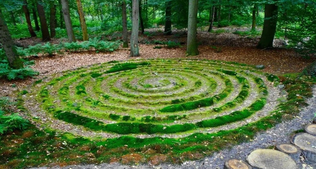 4 Exkluzivní psychedelické zážitky pro náročnou klientelu | Exclusive Tours