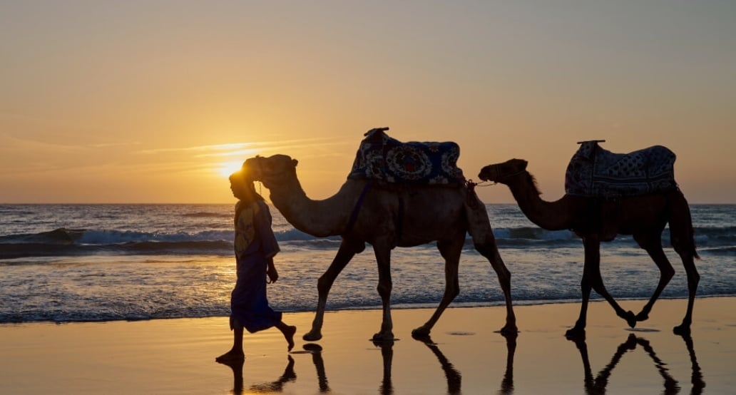 4 Fairmont Taghazout Bay, Maroko  Taghazout c8b0e3b3-efad-48d6-a80f-a5a15c3a7cb2.png