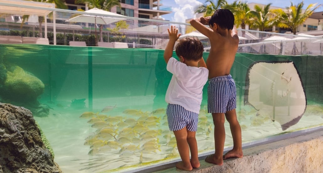 4 The St. Regis Longboat Key Resort, USA – Florida | Exclusive Tours