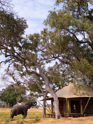 &Beyond Xaranna Okavango Delta Camp